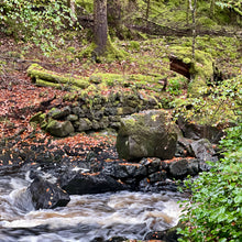 Load image into Gallery viewer, TERRA