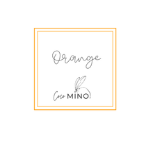 Load image into Gallery viewer, ORANGE