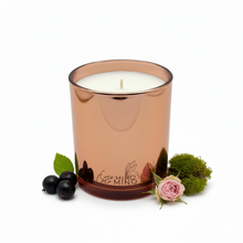 Load image into Gallery viewer, Baies candle with ingredients