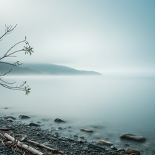 Charger l'image dans la galerie, Coastal Mist