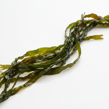 Charger l'image dans la galerie, Fresh Seaweed