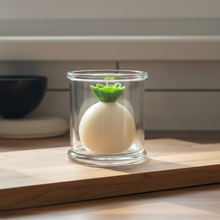 Charger l'image dans la galerie, IMG_6116 on natural surface - bright and clean