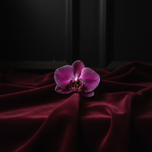 Load image into Gallery viewer, Orchid on velvet