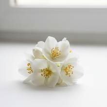 Charger l'image dans la galerie, Pure Jasmine Flowers