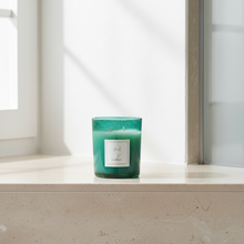 Charger l'image dans la galerie, VIEL Bathroom Clean