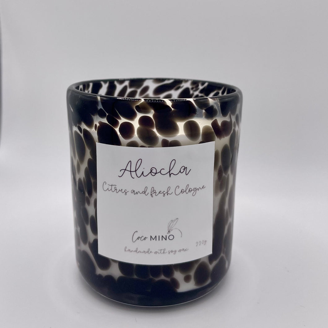 ALIOCHA