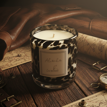 Load image into Gallery viewer, ALIOCHA Aviator 2
