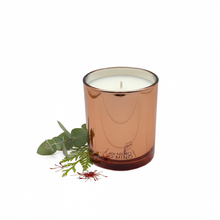 Charger l'image dans la galerie, CESAR pure white background
