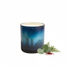 Charger l'image dans la galerie, CESAR with blue jar
