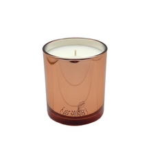 Load image into Gallery viewer, FANFAN Clean No Drips
