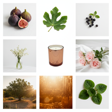 Load image into Gallery viewer, FIGUE mood board with Mediterranean garden and fig tree
