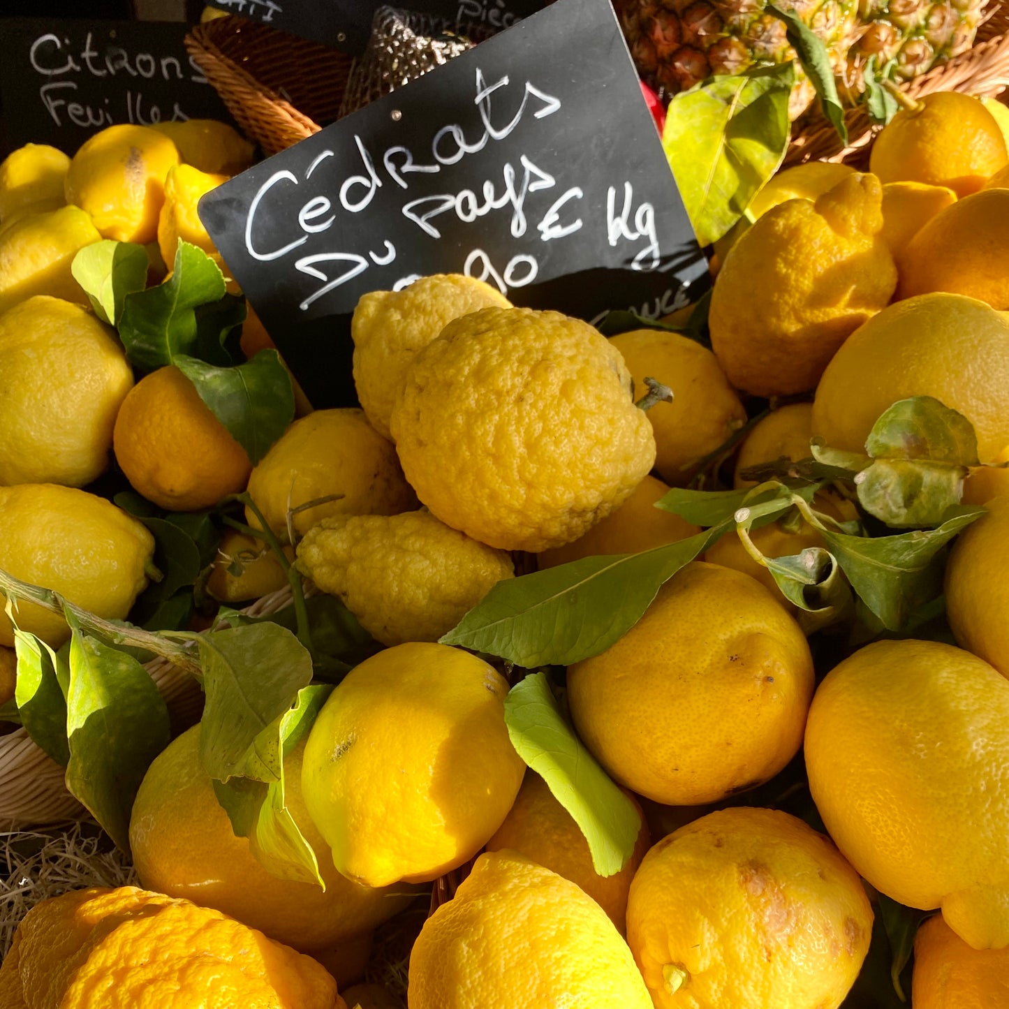 Une limonade à MENTON - Bougie de luxe en cire de soja | Fabriquée à la main 