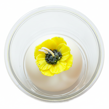 Charger l'image dans la galerie, IMG_6104 - clean white background
