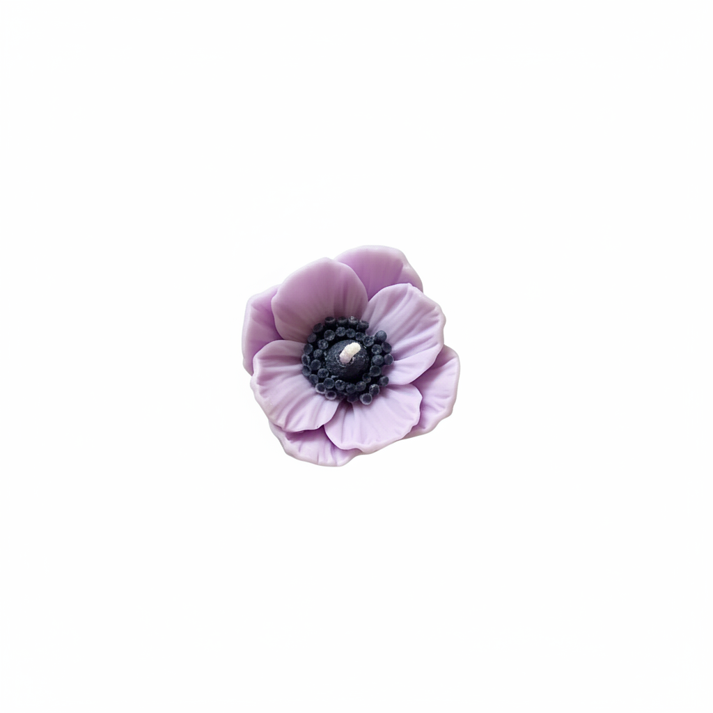 Lavender anemone flower