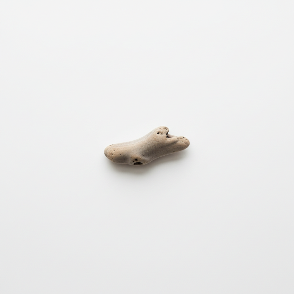 NAUZAN Driftwood Minimalist
