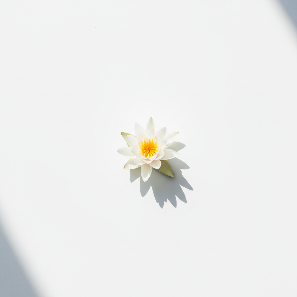 NAUZAN Water Lily Minimalist