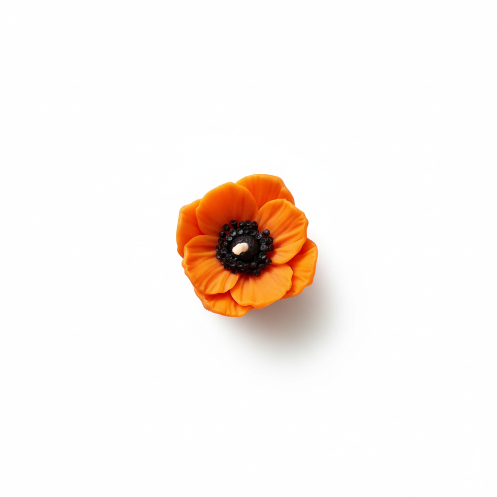 Orange anemone flower