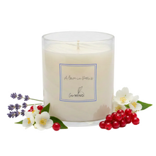 Load image into Gallery viewer, PARIS - Jar with Minimal Ingredients
