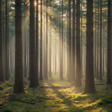 Charger l'image dans la galerie, Photorealistic TIDE atmosphere
