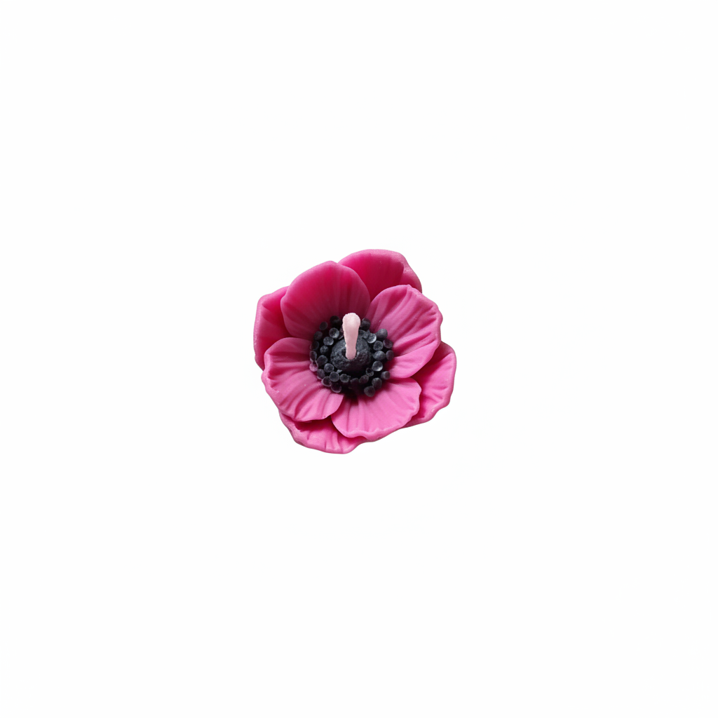 Pink anemone flower