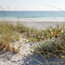 Charger l'image dans la galerie, Position 7
