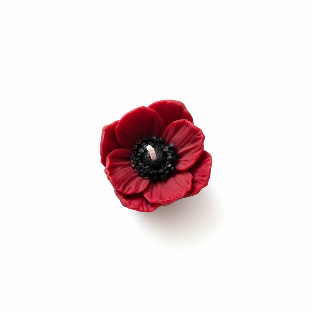 Red anemone flower