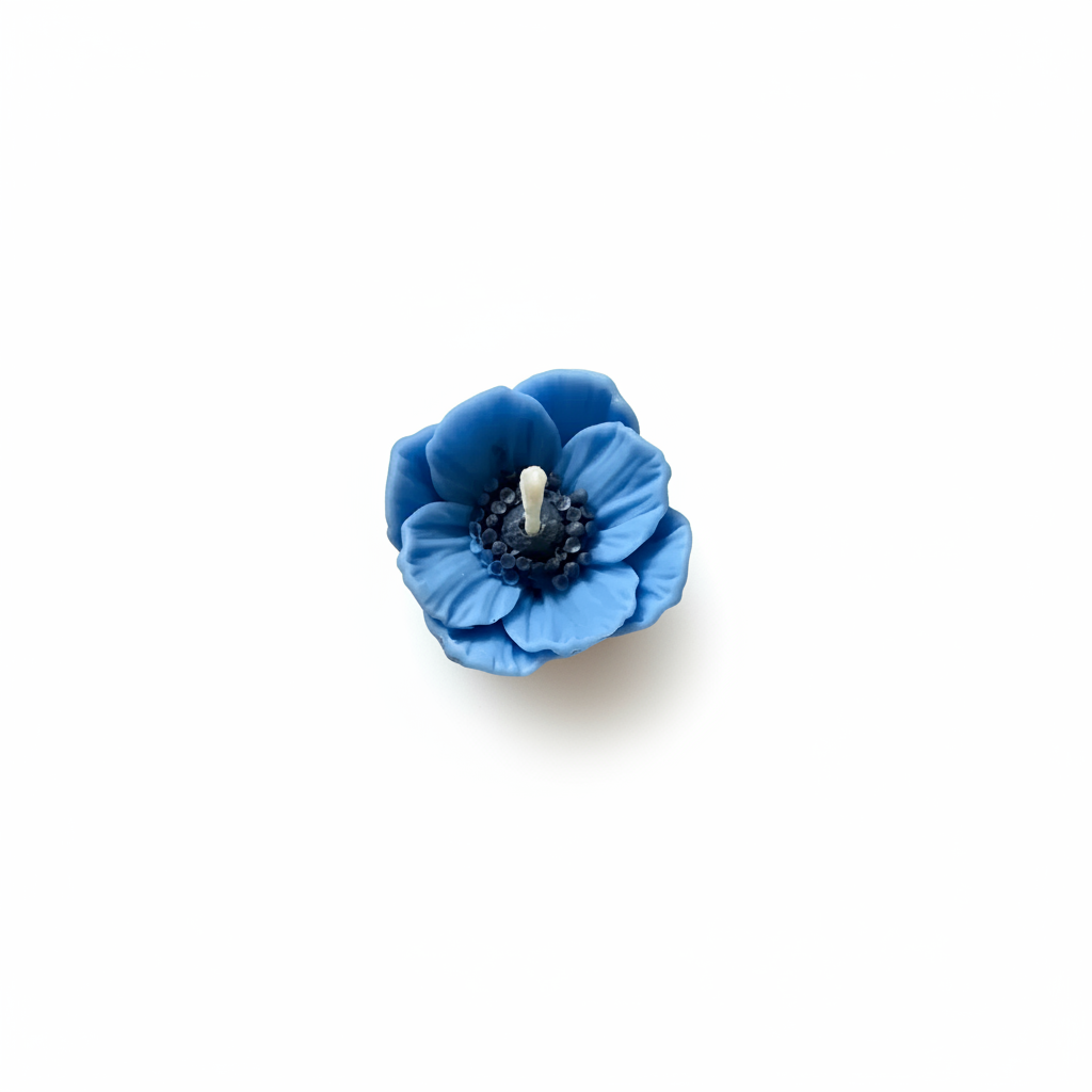 Soft blue anemone flower