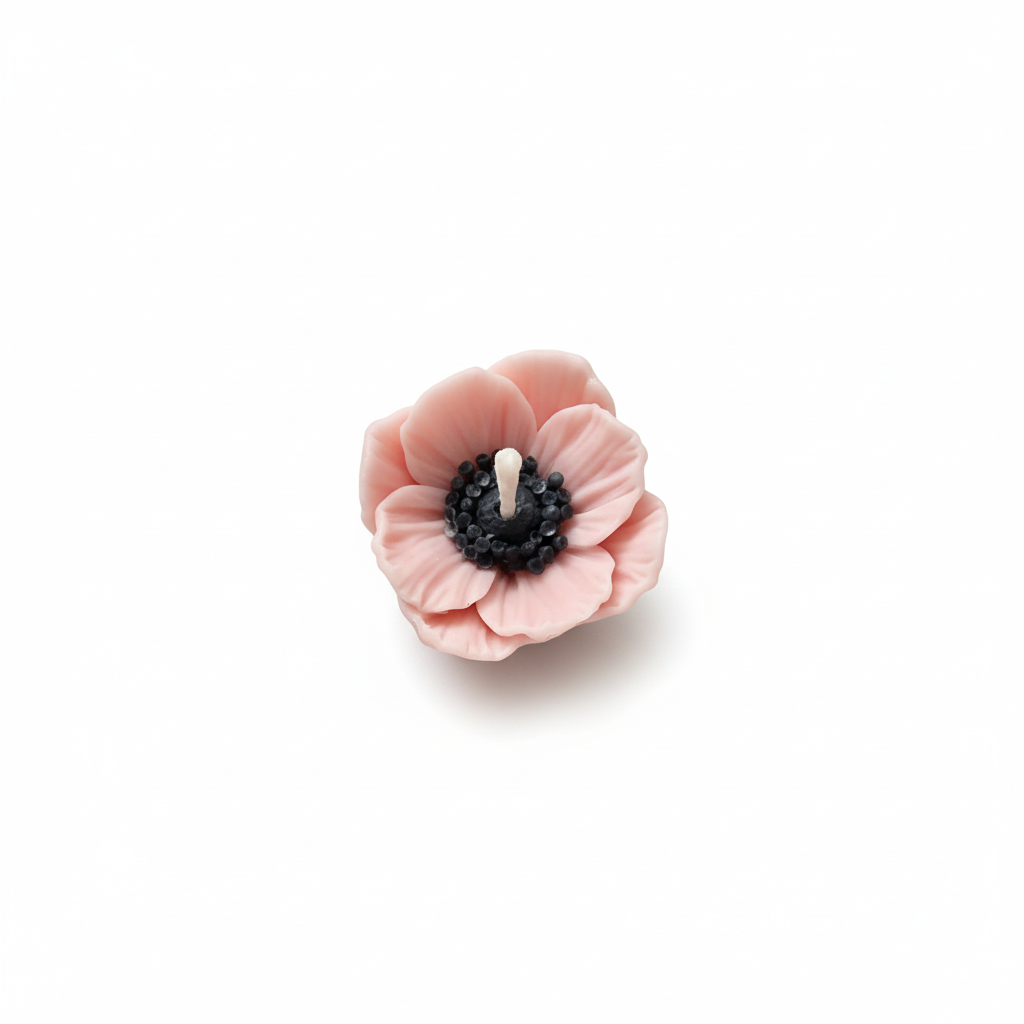 Soft pink anemone flower