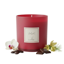 Charger l'image dans la galerie, VELVET minimalist pure white background
