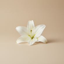 Charger l'image dans la galerie, White Lily
