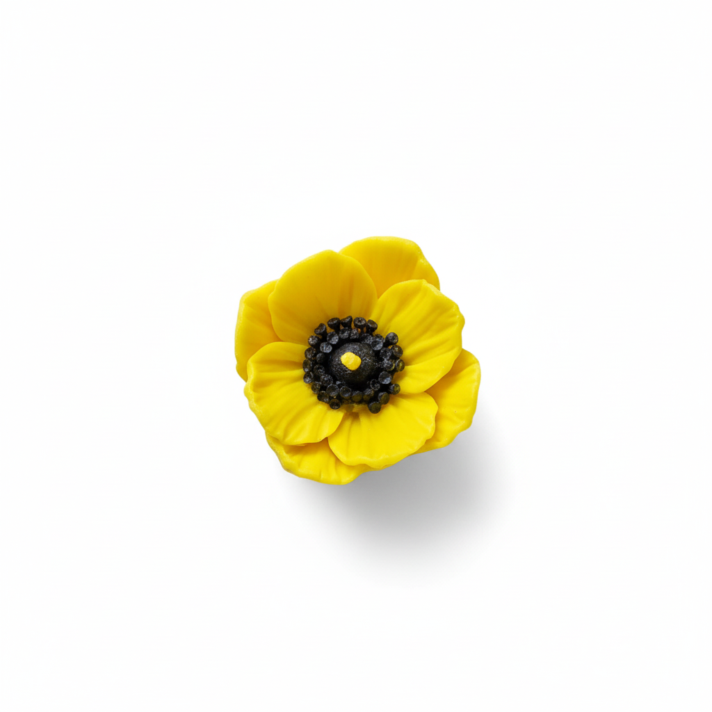 Yellow anemone flower